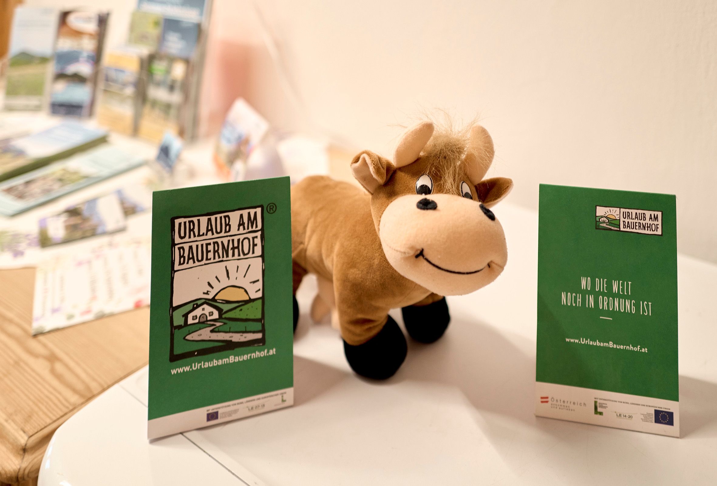 Egy tehén alakú plüssállat áll két szórólap között, amelyeken a "Farm holidays" felirat olvasható.