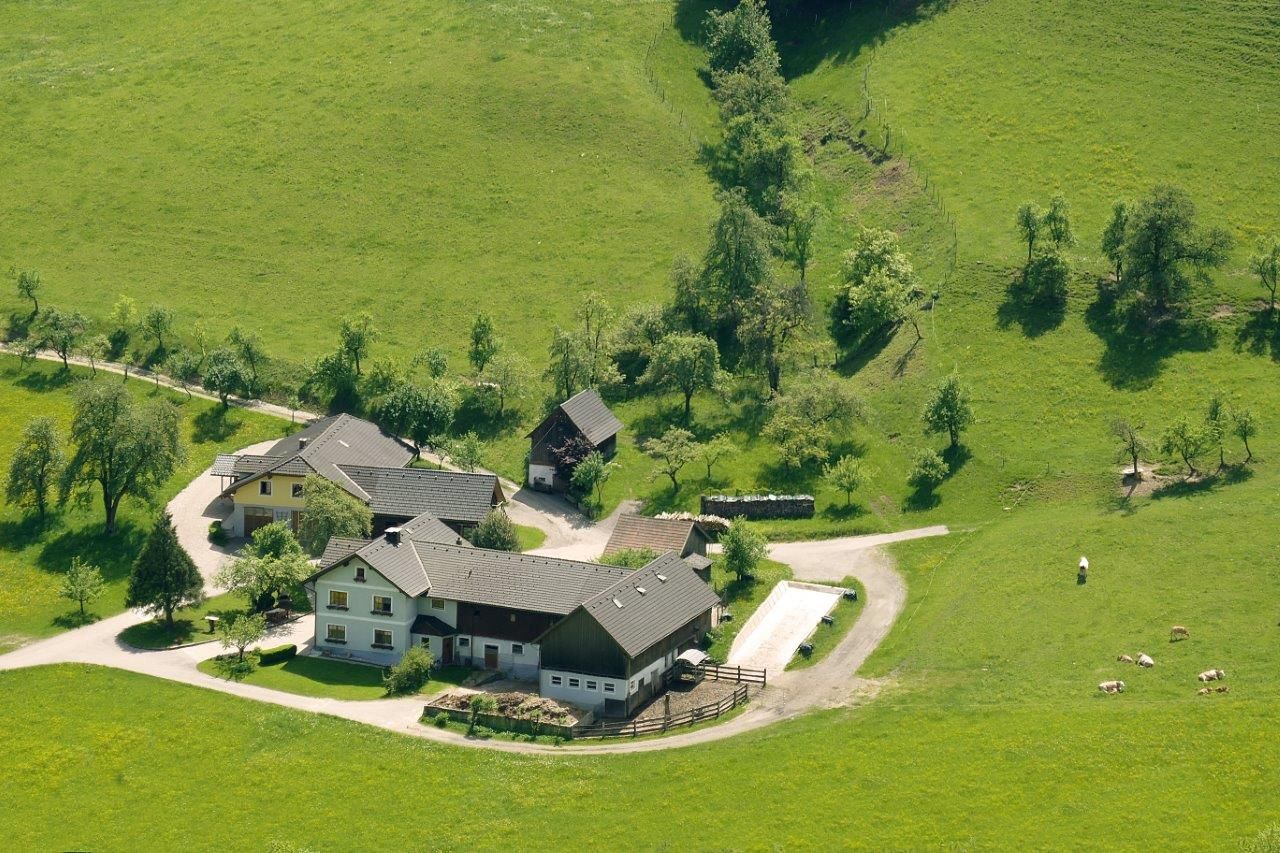 Steg biogazdaság