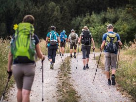 Durch Wald und Wiese, &copy; Wachau-Nibelungengau-Kremstal