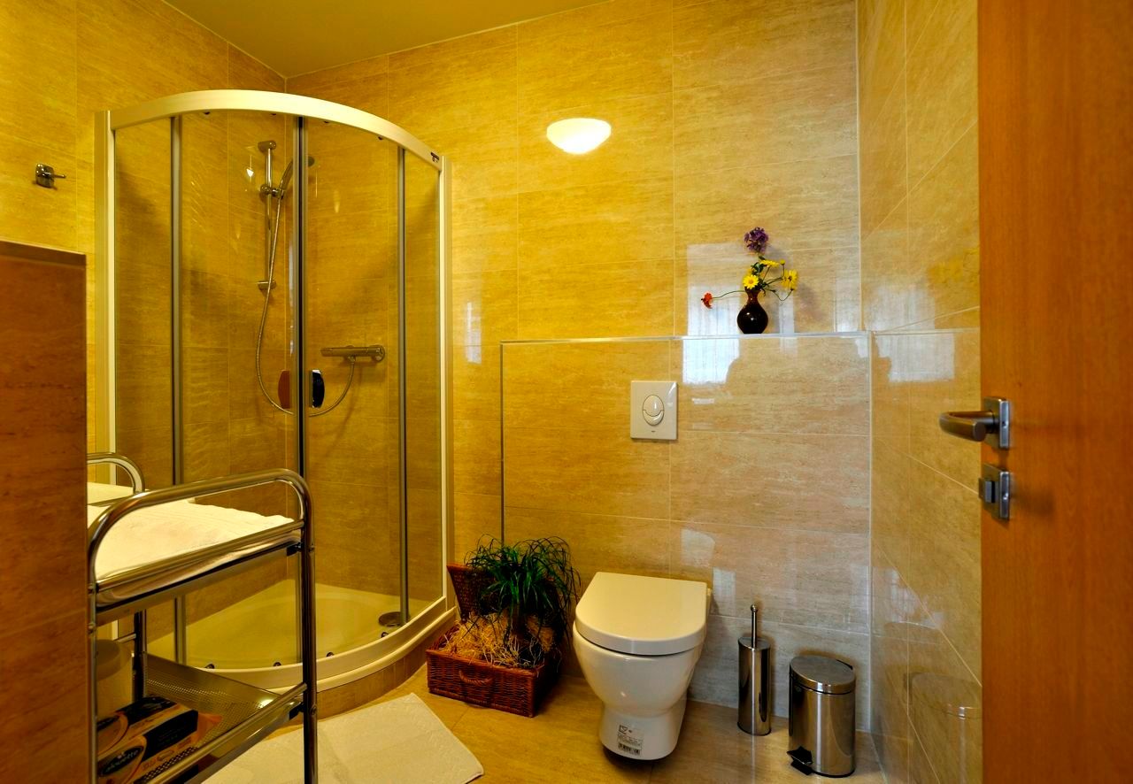 Modern fürdőszoba zuhanyzóval, WC-vel és növényekkel.