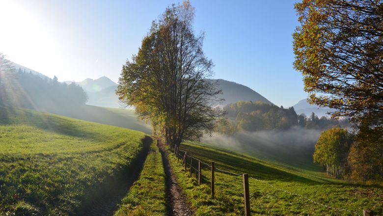 Egy túraútvonal vezet a zöld tájban, a háttérben fákkal és hegyekkel, amelyeket a nap sugarai megvilágítanak.