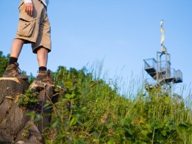 Themenweg Traismauer, &copy; Stadtgemeinde Traismauer