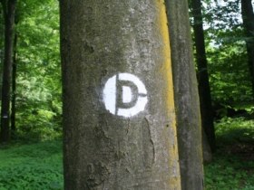 Spr&uuml;hmarkierung Dunkelsteinerwald-Runde, &copy; Unknown