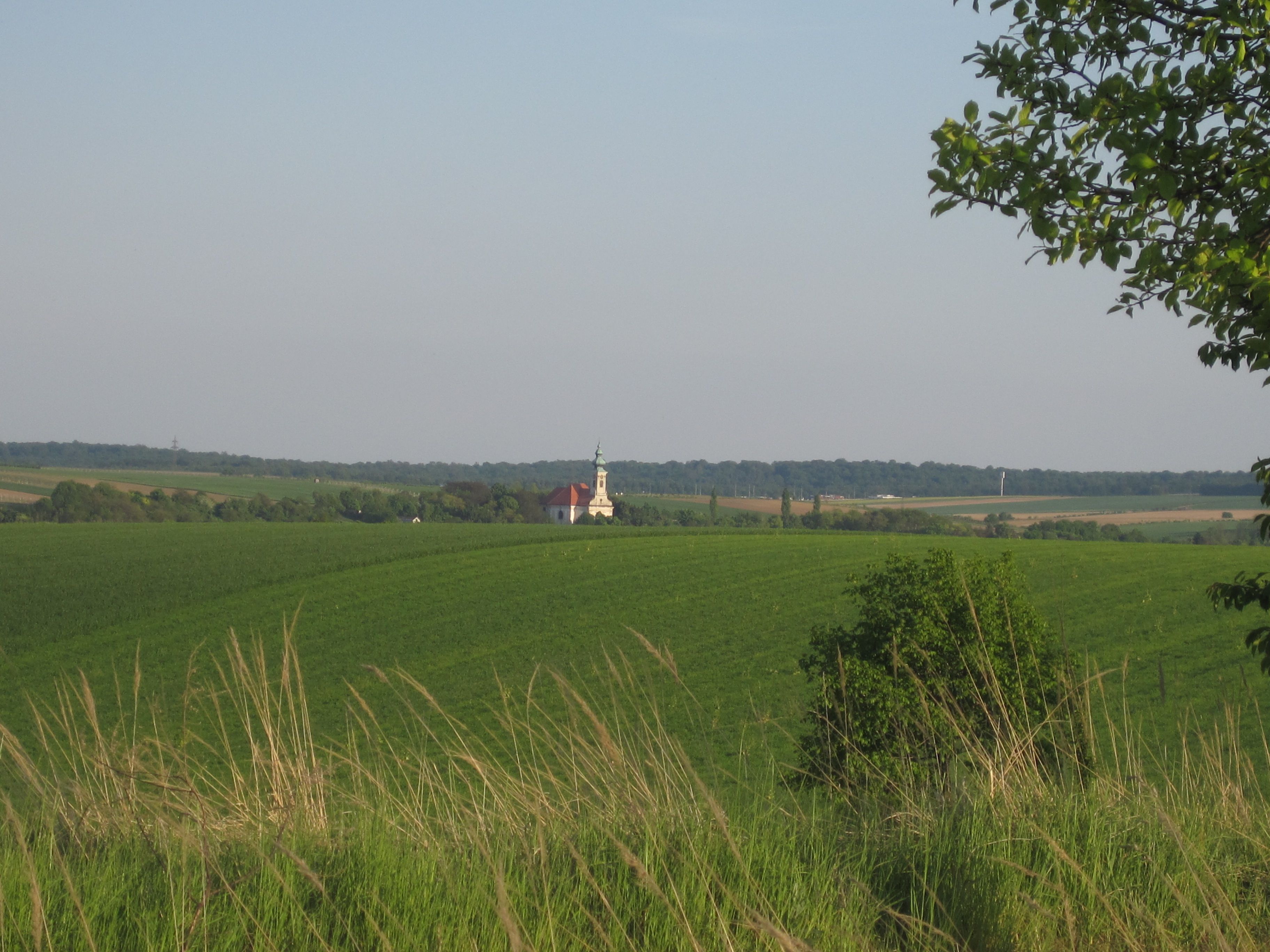 Tájkép zöld mezőkkel és templommal a háttérben.