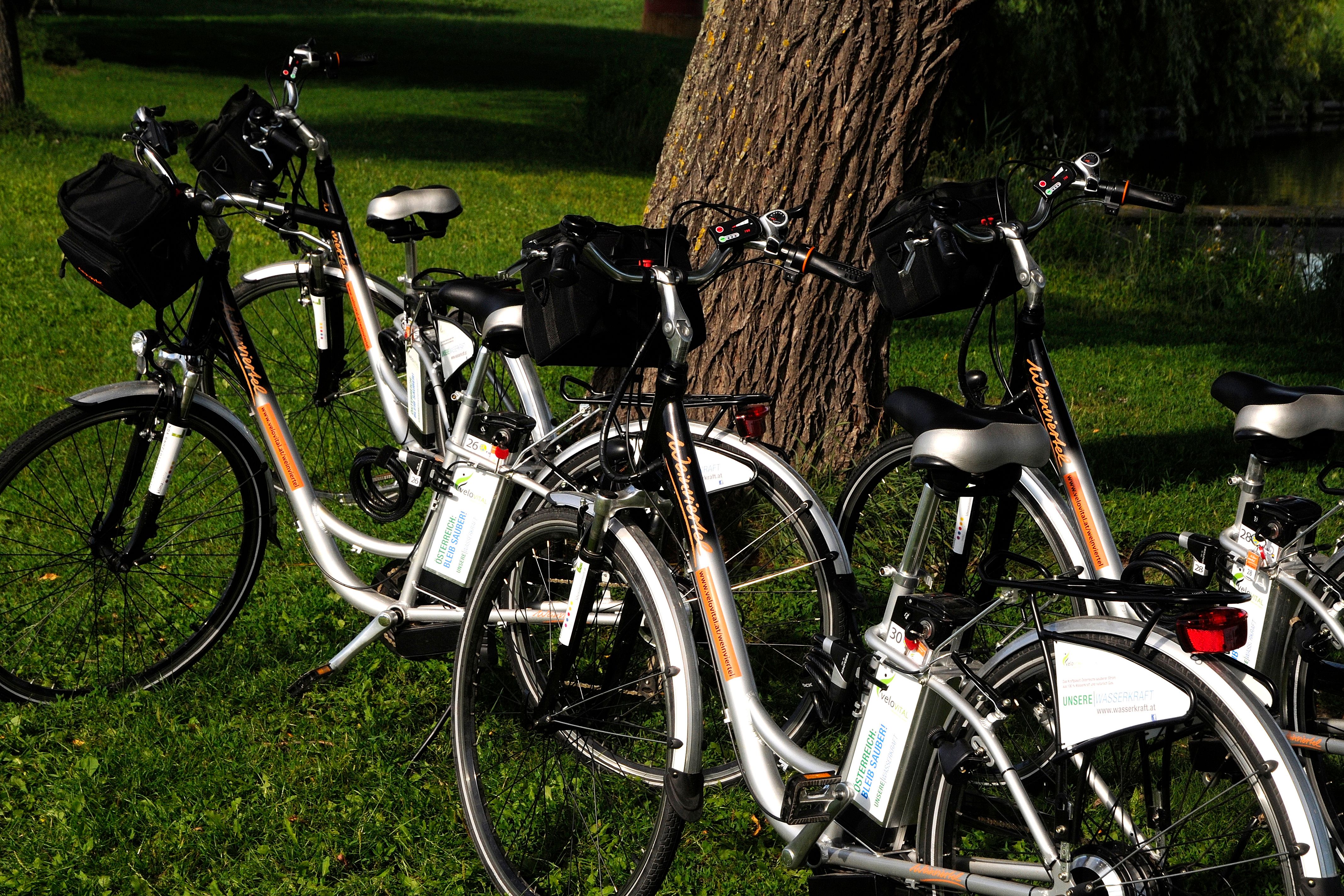 Több e-bike parkol egy réten egy fa előtt.