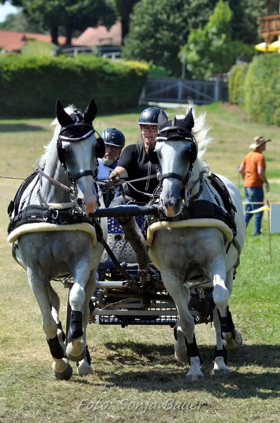 Kocsi a hársfák mellett 