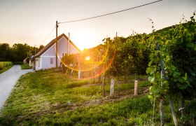 Pincesor Feuersbrunn, szőlőskertek &eacute;s pinc&eacute;k naplement&eacute;ben