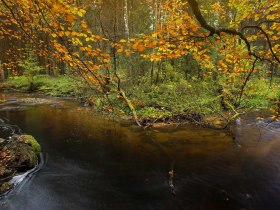 Kleine Sch&uuml;tt, &copy; &copy; Matthias Schickhofer