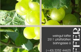 Grape and contact details, &copy; weingut-laffer.at