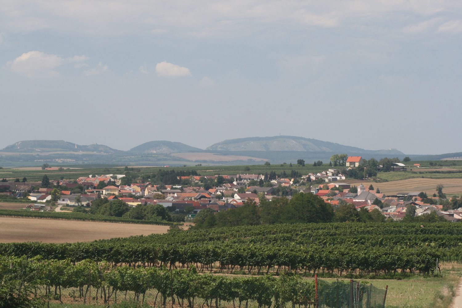 Tájkép faluval, szőlőskertekkel és dombokkal a háttérben.