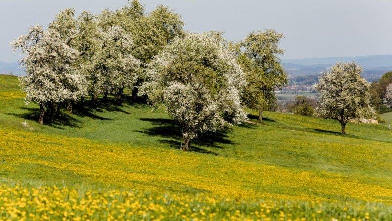 Photo point Wachtberg in the direction of St. Veit, &copy; schwarz-koenig.at