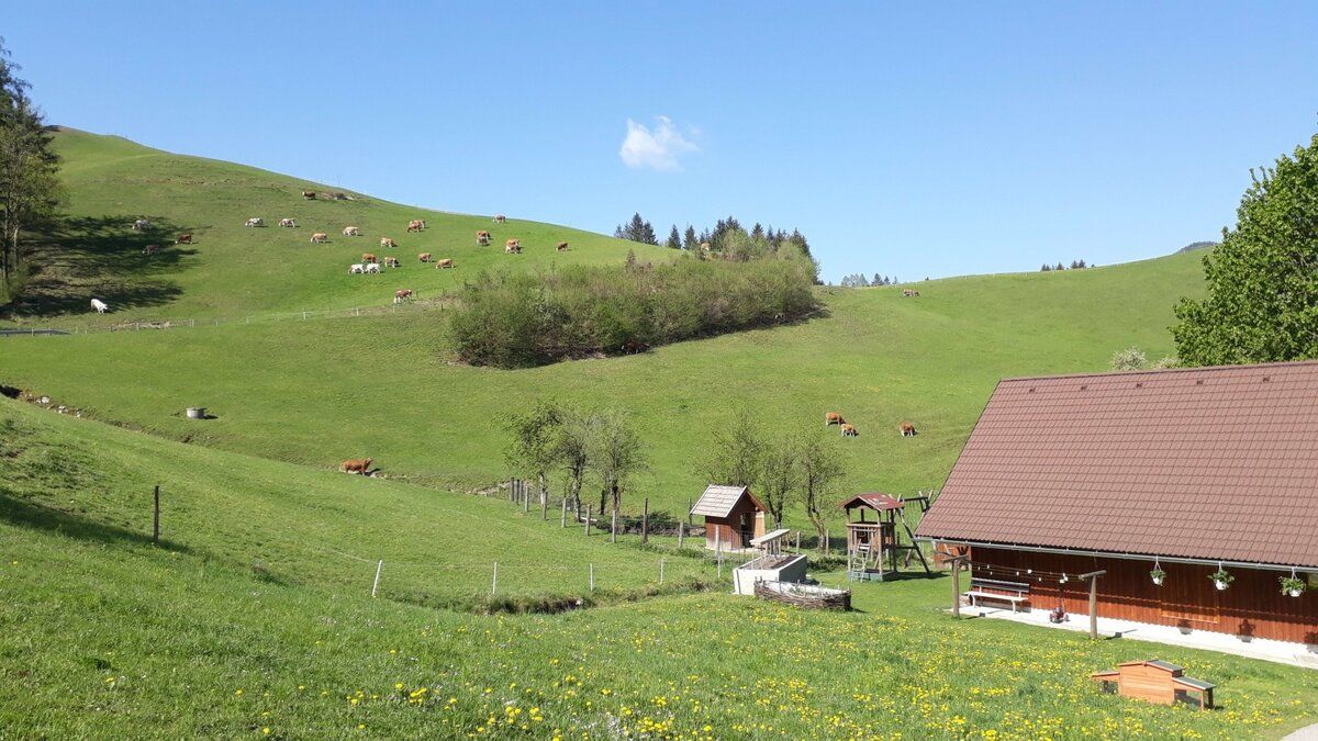 Üdülés a tanyán - Oberrehau