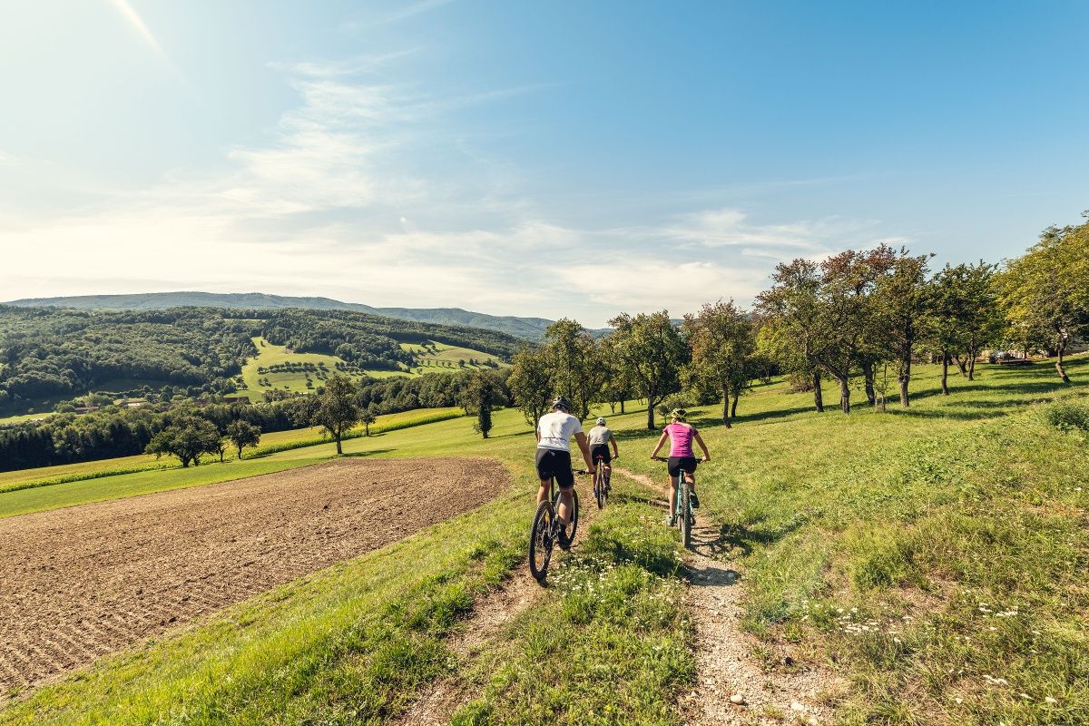 MTB Bécsi-erdő