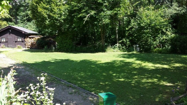 Zöld rét fákkal és egy faházzal a háttérben.