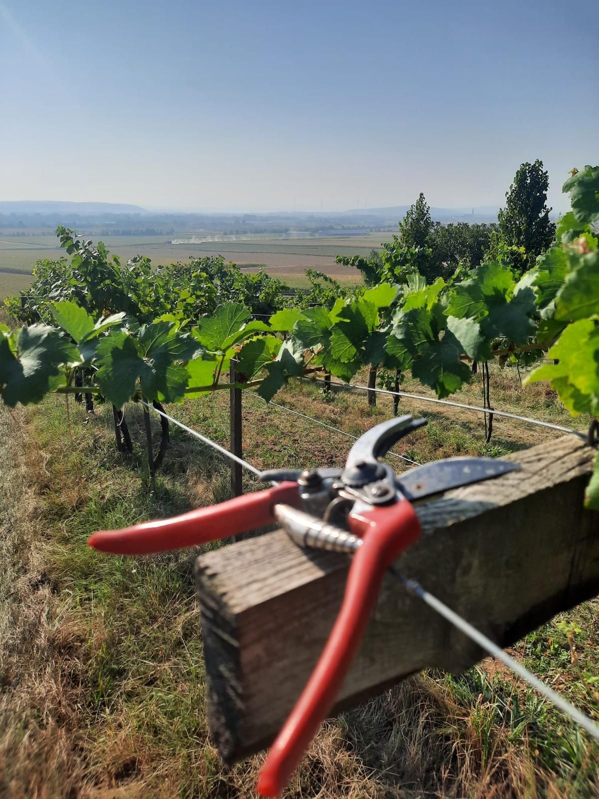 Bauer biofarm