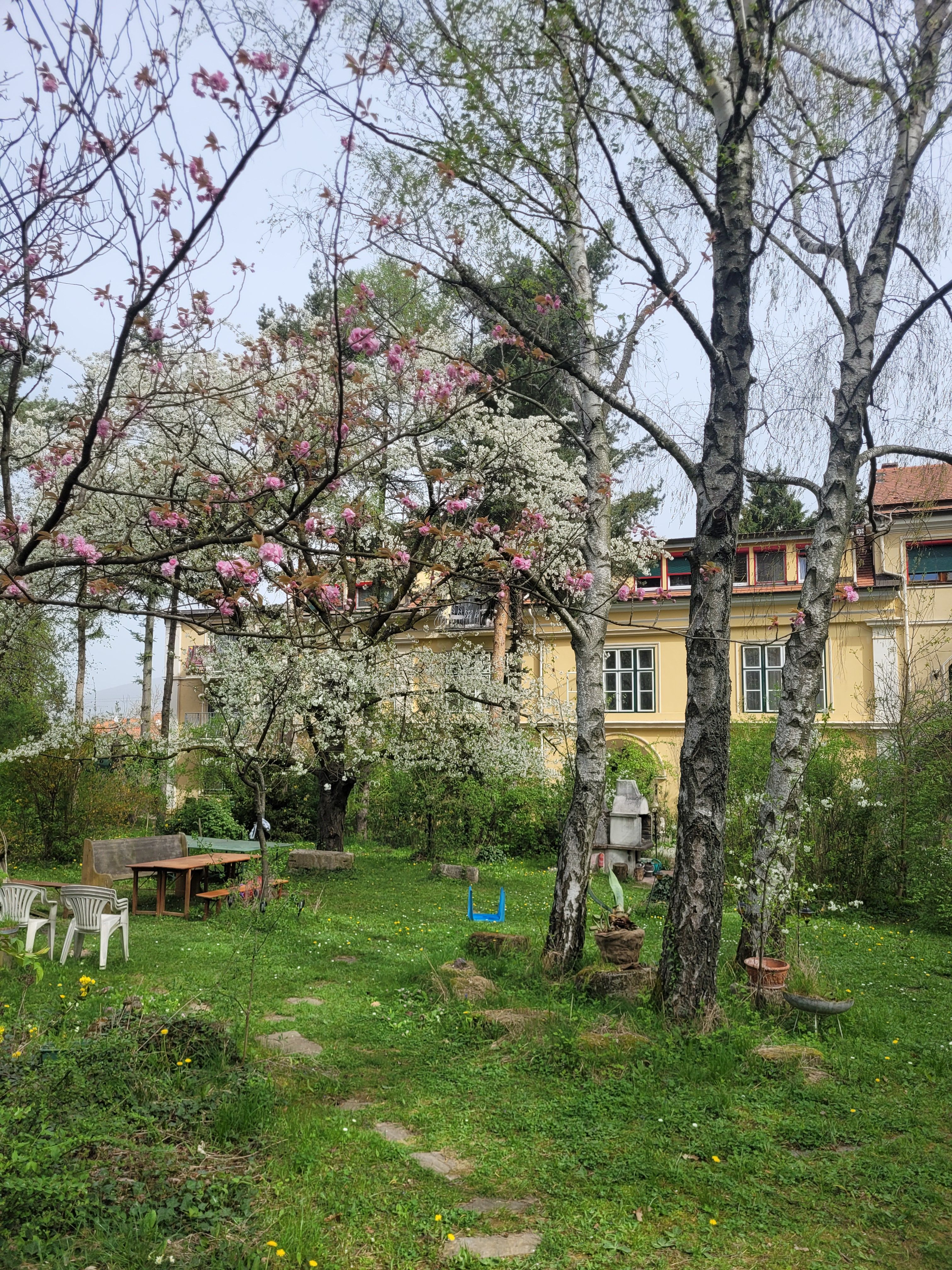 Villa Pannonica Wolfsthal, kert fákkal