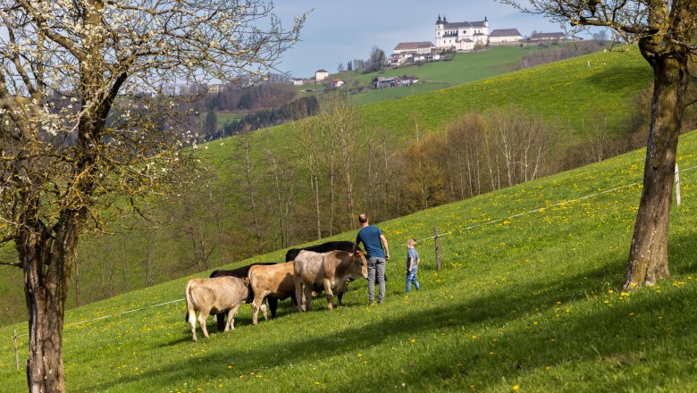 Organic farm Zillach, &copy; Theo Kust