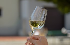 Wine glass, &copy; Weinviertel Tourismus / Lisa Sedlatschek