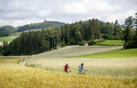 Granittrail, Ruine Arbesbach, © Unknown