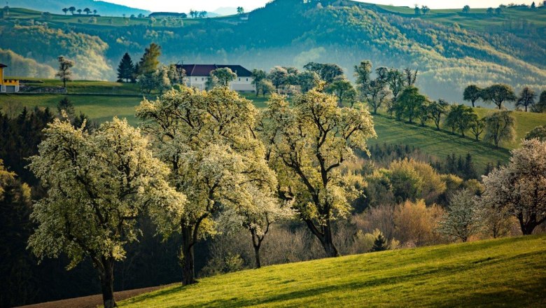 Photo point Karl Lammerhuber View southeast, &copy; schwarz-koenig.at