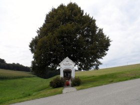 Kapelle (Denk), &copy; Mostviertel - Jakobsweg