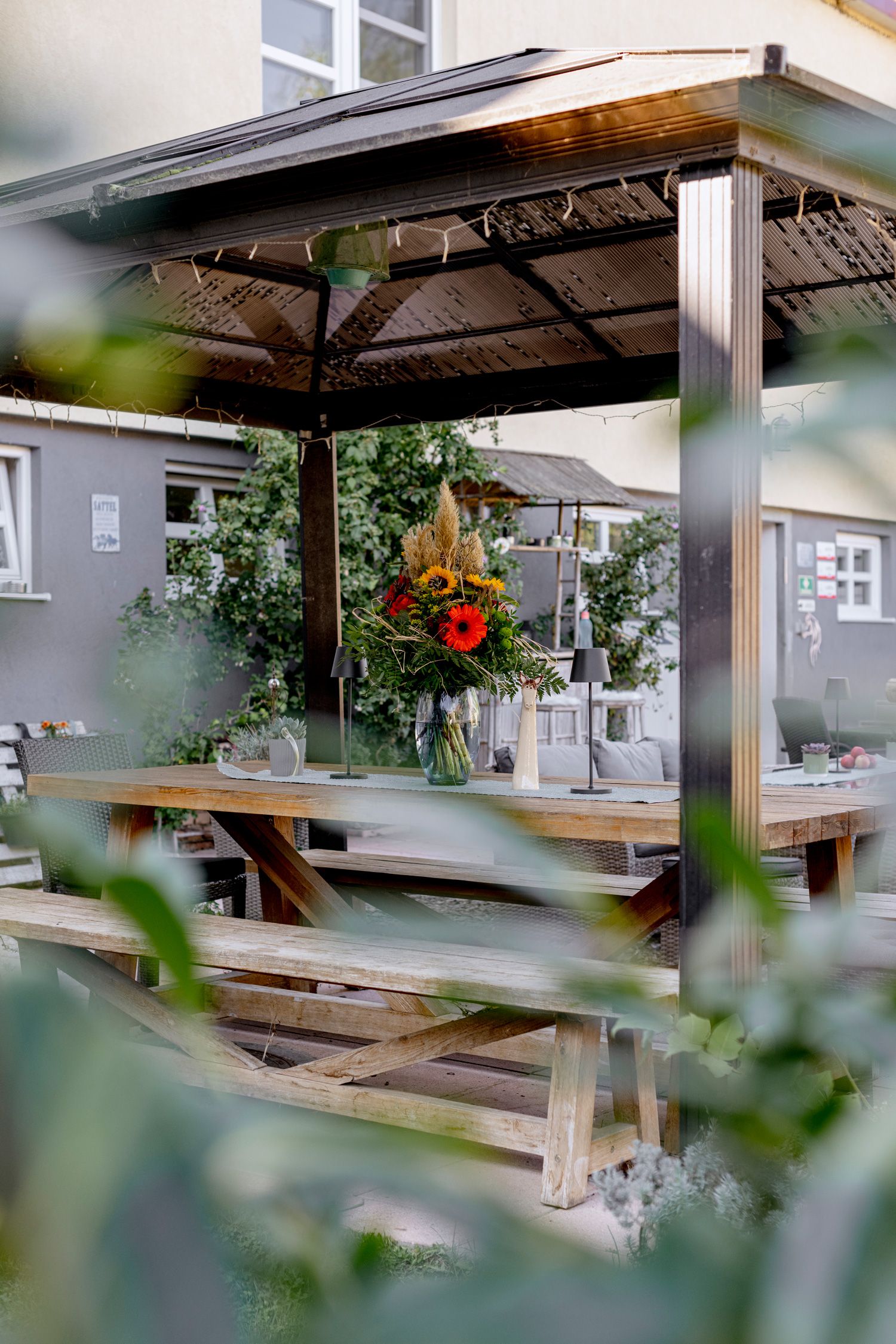 Hippo Campus, székhely 