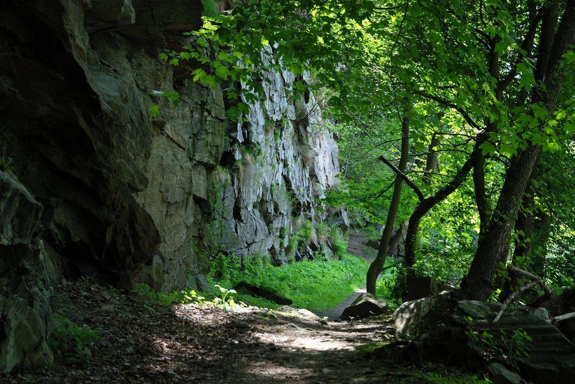Rom Buchenstein-Weg