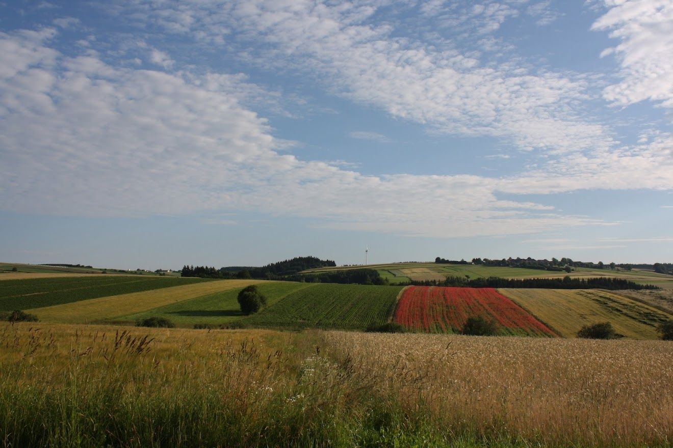 Kilátás Pleßberg-Ottenschlag felé