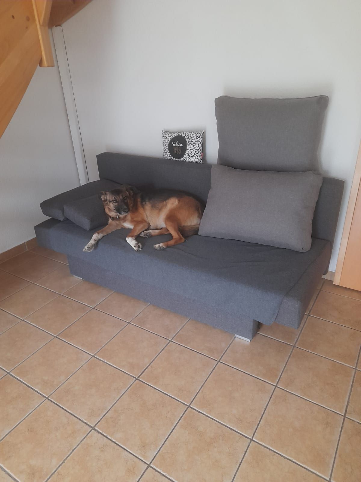 Nappali