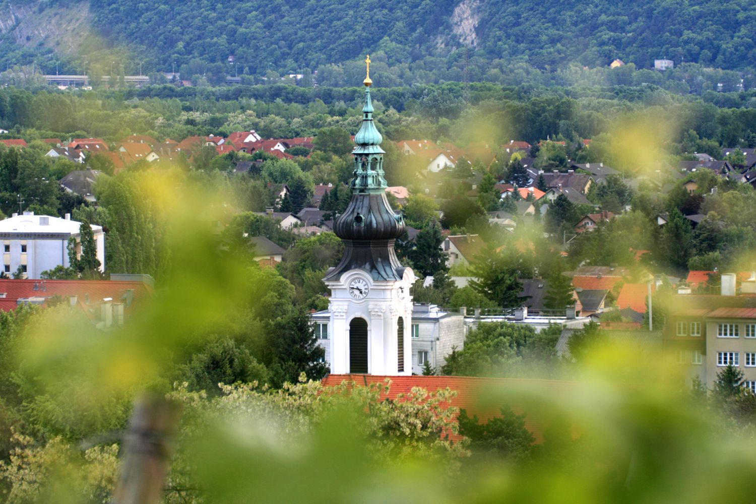 Zöld kupolás templomtorony városi tájban, fákkal és házakkal körülvéve.