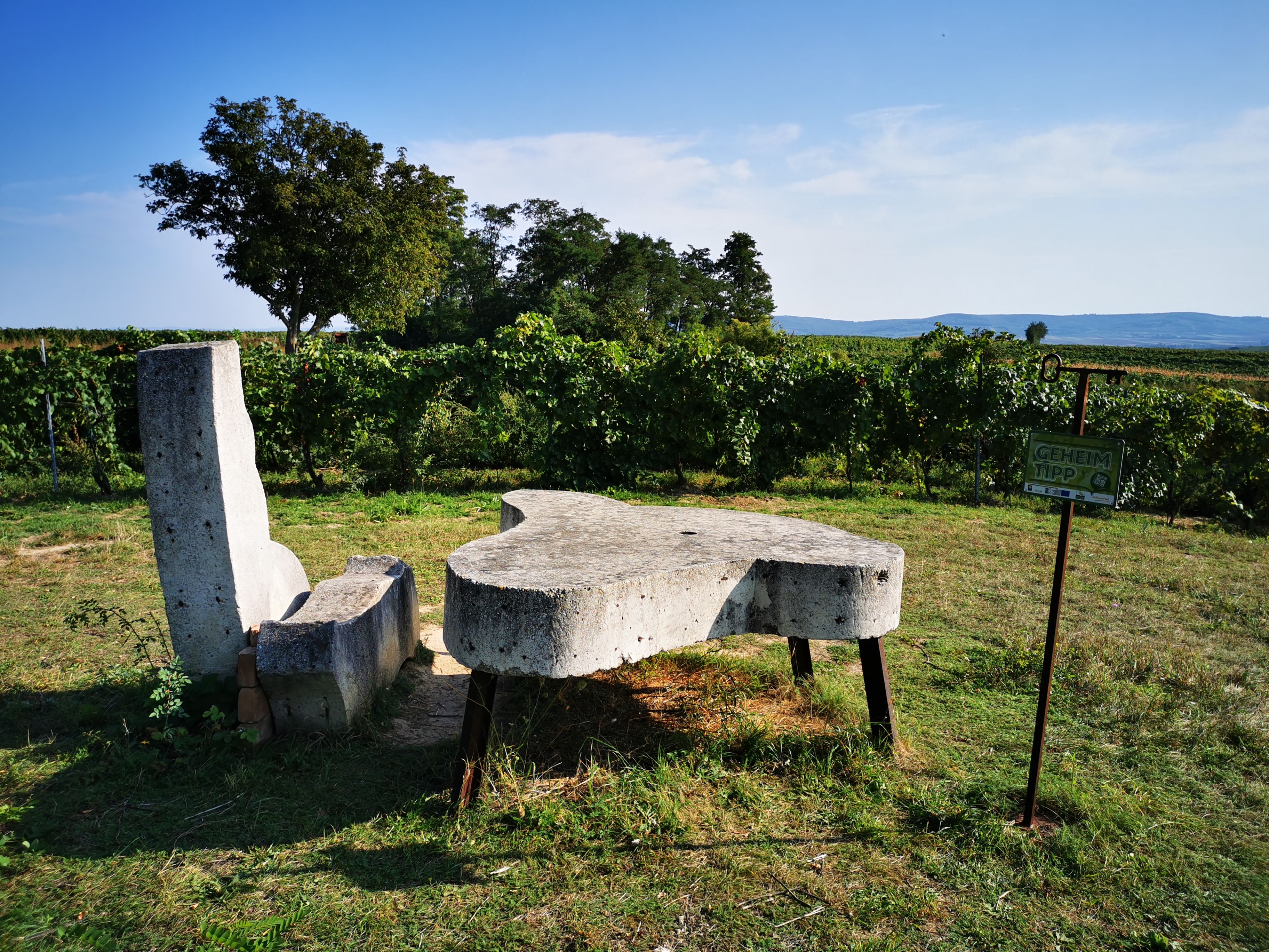 Kőpad és asztal egy szőlőskertben, "bennfentes tipp" felirattal.