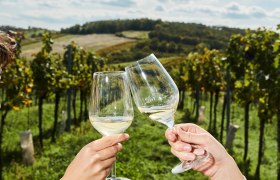 Toasting in the vineyard, &copy; Weinviertel Tourismus / Michael Liebert