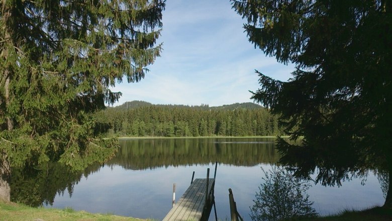 Bull pond, &copy; Manfred Grill