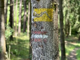 Jauerling-Runde 06: Raxendorf-M&uuml;hldorf, &copy; Wachau Inside