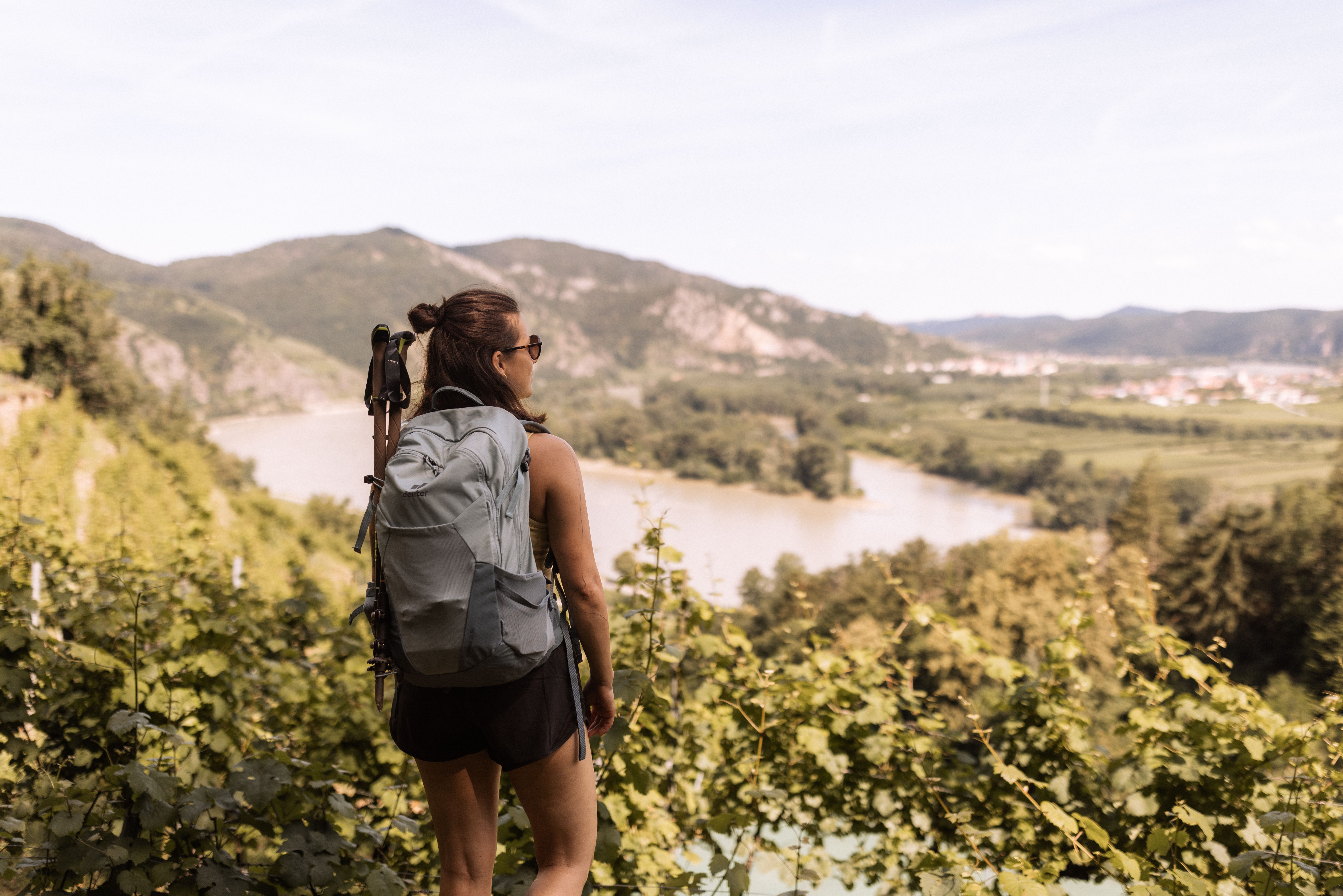 Ein Wanderer genießt die atemberaubende Aussicht auf die sanften Hügel und die glitzernde Donau, während die Sonne sanft über die Landschaft strahlt. Die üppigen Weinreben und die malerische Umgebung laden dazu ein, die Schönheit der Natur in vollen Zügen zu erleben.
