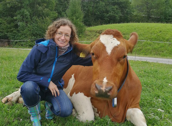 Ilsinger and cow, &copy; Familie Erber