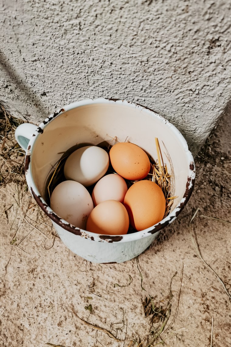 Friss tojás reggelire, © Maunzimadame
