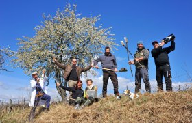 Blossoming Pulkau Valley, &copy; Harald M. Seymann