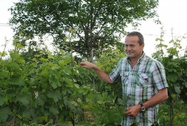 Winery Leopold Blauensteiner, &copy; Monika Helm