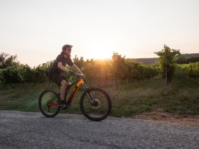 MTB im Wienerwald, &copy; Wienerwald Tourismus/TUES GmbH