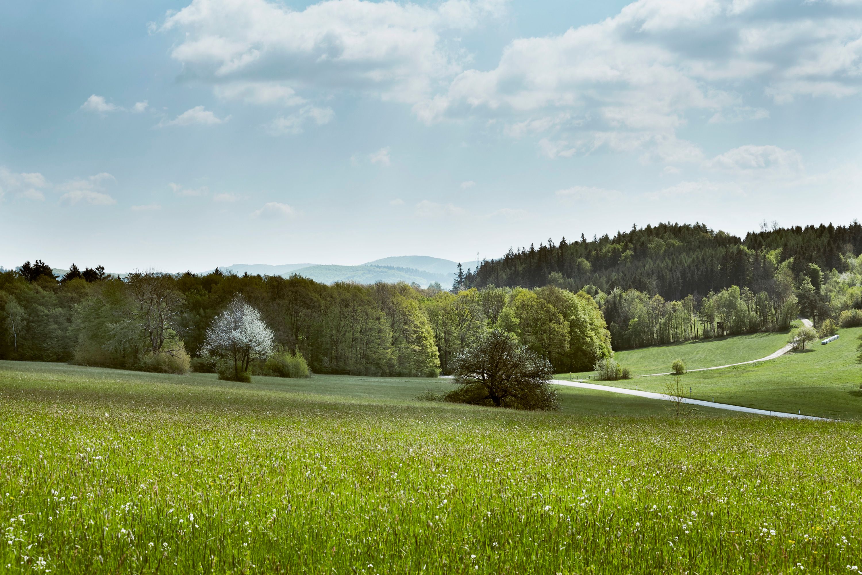 Irenental (c)Bécsi-erdő Tourismus_Andreas Hofer_2021