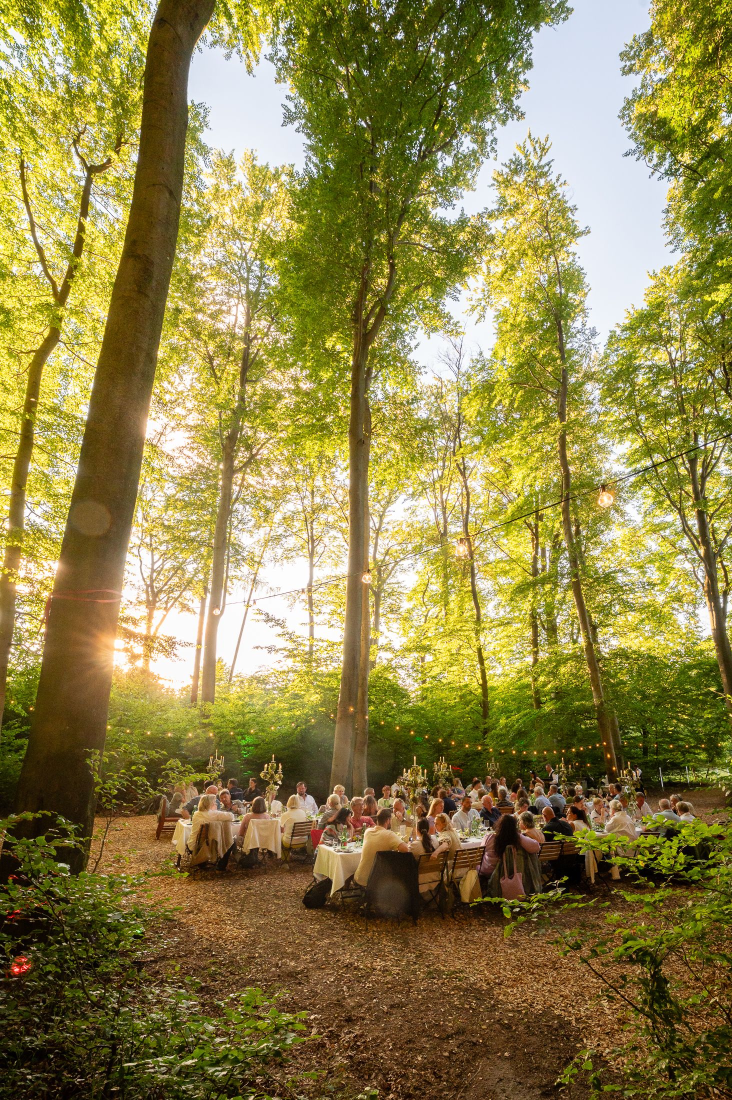 Bei einem besonderen Dinner im Berghotel Tulbingerkogel schmücken weiß gedeckte Tische die Szenerie eines warmen Sommerabends. Eingebettet in die alten Buchen des Wienerwalds entfaltet sich die Magie der Kulinarik unter sanftem Sonnenlicht. Hier verschmelzen Natur und Genuss zu einem stillen Erlebnis, das die Sinne belebt. Ein ruhiger Moment, der die Seele berührt und die Einladung, den Wienerwald in seiner ganzen Pracht mit allen Sinnen zu erleben.