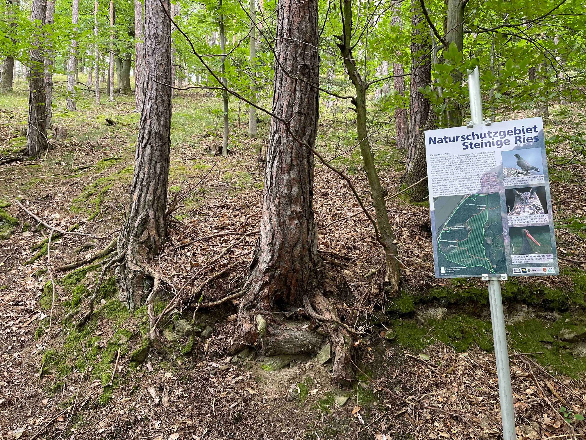 Steinige Ries természetvédelmi terület