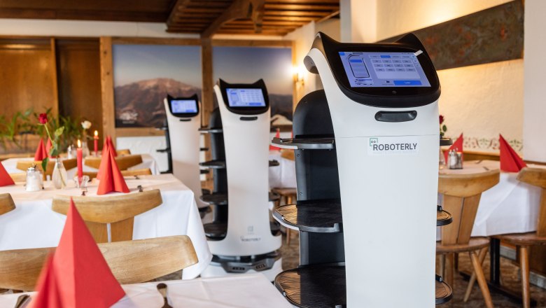 Felvon&oacute;, &copy; Kuhnert Rudolf