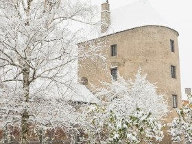 Kulturweg "Sprechende R&ouml;mer" in Traismauer, &copy; Donau Nieder&ouml;sterreich - Kamptal-Wagram-Tullner Donauraum