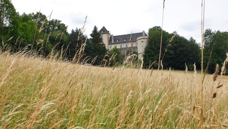 Neuhaus Castle, &copy; burg-neuhaus_kathrin-huemer_wienerwald-tourismus