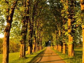 Ősszel is aj&aacute;nlott, &copy; VSE, Haslinger Christina