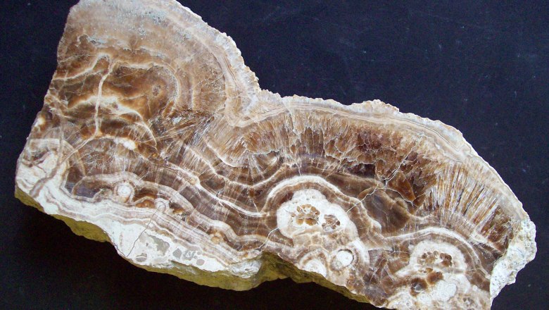 Aragonite Jennyberg, © thinschmidt