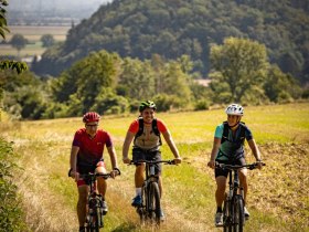 MTB_Traisental 10, &copy; (C) schwarz-koenig.at