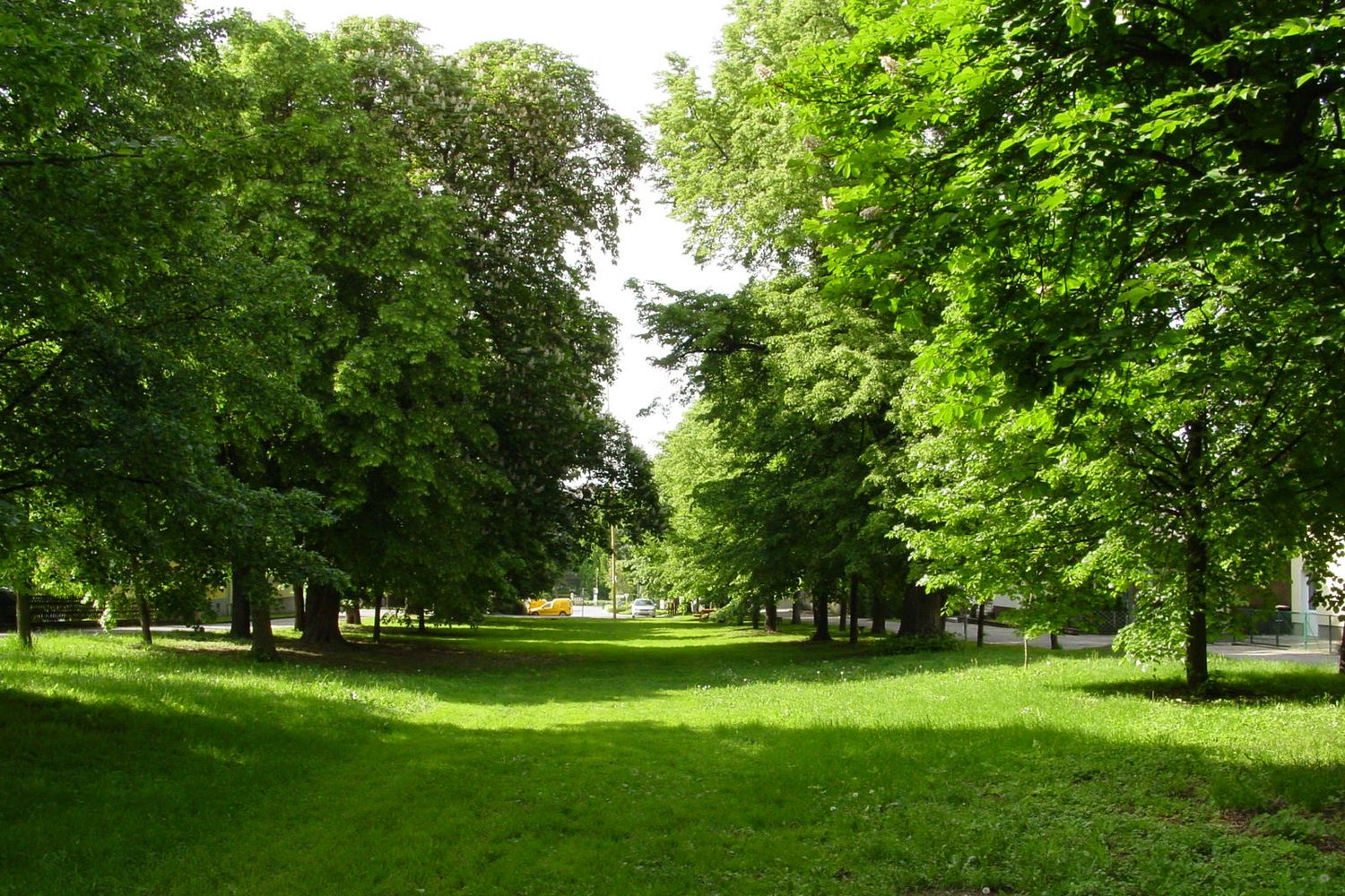Zöld sugárút fákkal és pázsittal napfényben.